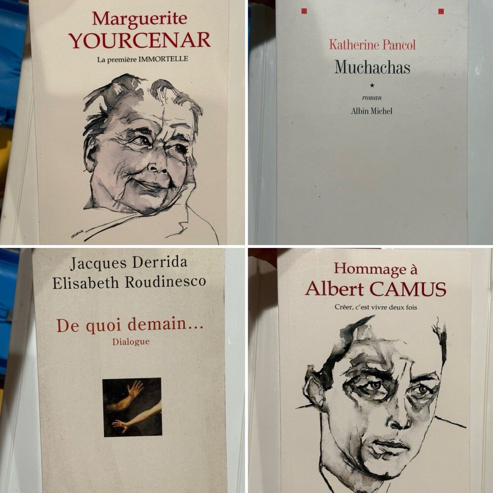 Lot of 4 books in the FRENCH Language Paperbacks. Mixed Genre